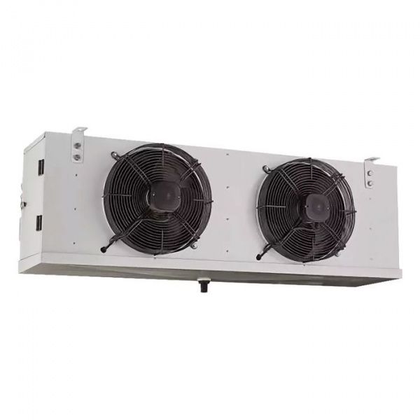 Belluno iP-4F