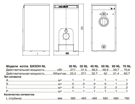 Protherm Бизон 30 NL (0010003940)