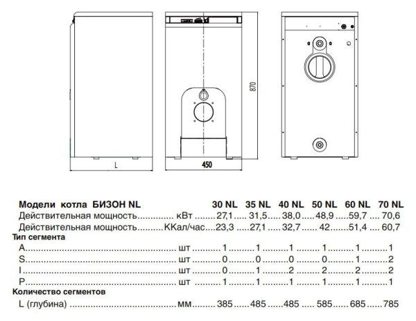 Protherm Бизон 30 NL (0010003940)